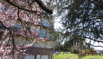 Saint-Amand 2.JPG